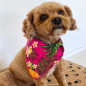 Aloha Pink Bandana