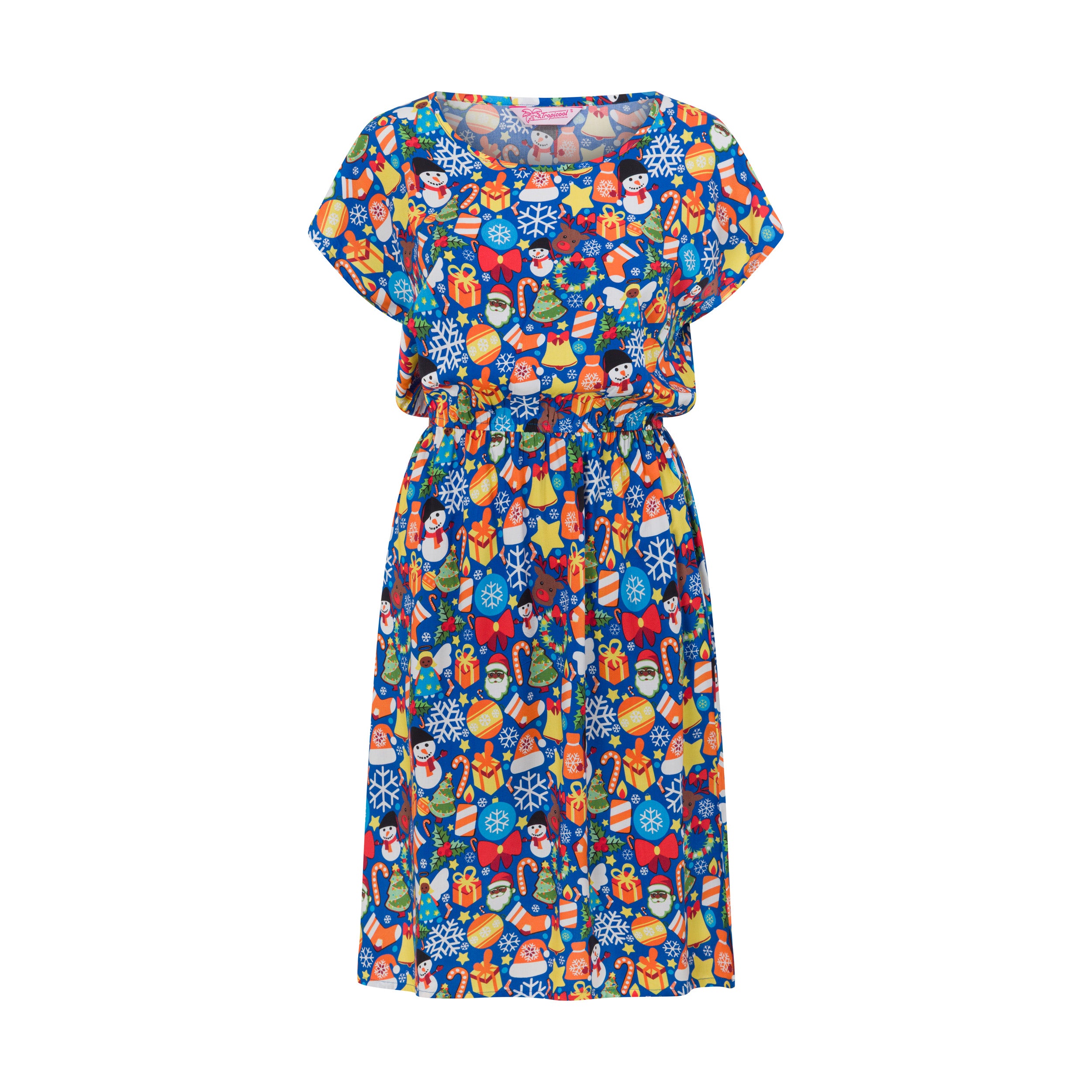 Blue Celebrations Christmas Adult Alice Dress