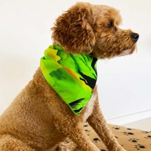 Sunset green bandana with a vibrant hue, ideal for pets; features festive, tropical-inspired style. | Tropicool Clothing